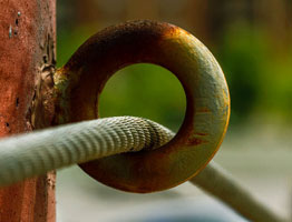 免费轰炸网页版